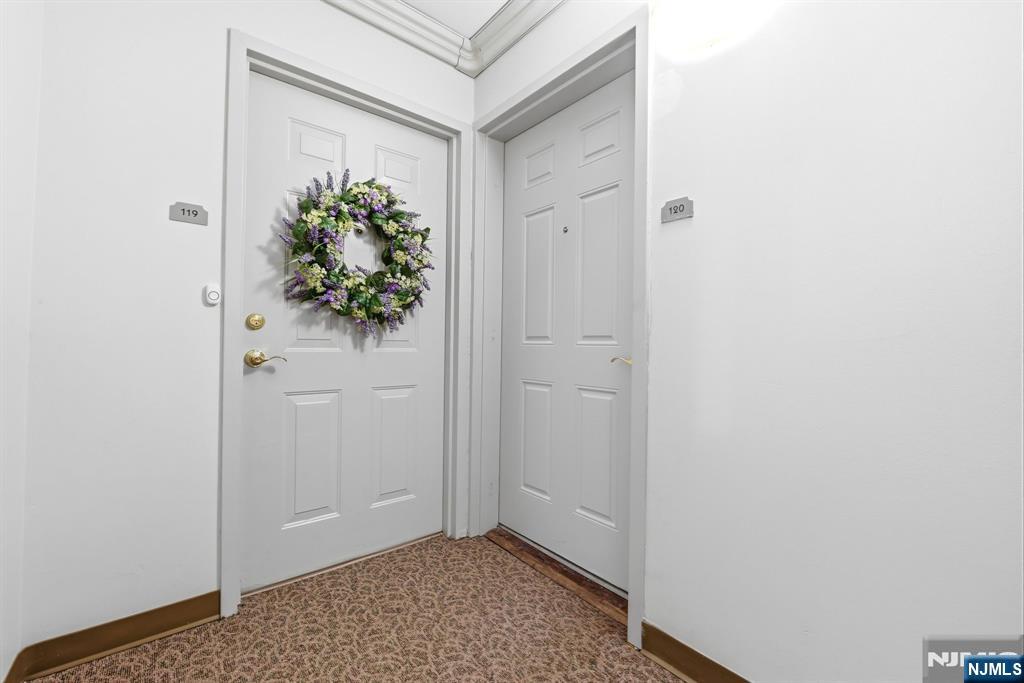 401 Dercole 120
