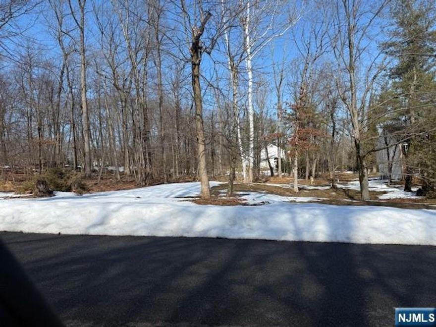 Exceptional opportunity to build your dream estate on 2.22 acres in prestigious Saddle River, a town known for its low property taxes and luxury estate living! This beautiful property offers the perfect setting for a custom residence to build a 5-bedroom luxury home surrounded by privacy and natural beauty. Enjoy the tranquility of Saddle River living while being minutes from top-rated schools, shopping, dining, and convenient access to major highways and NYC. A rare chance to create a private estate in one of Bergen County's most sought-after communities. The new septic system installed will accommodate a 5-bedroom home.