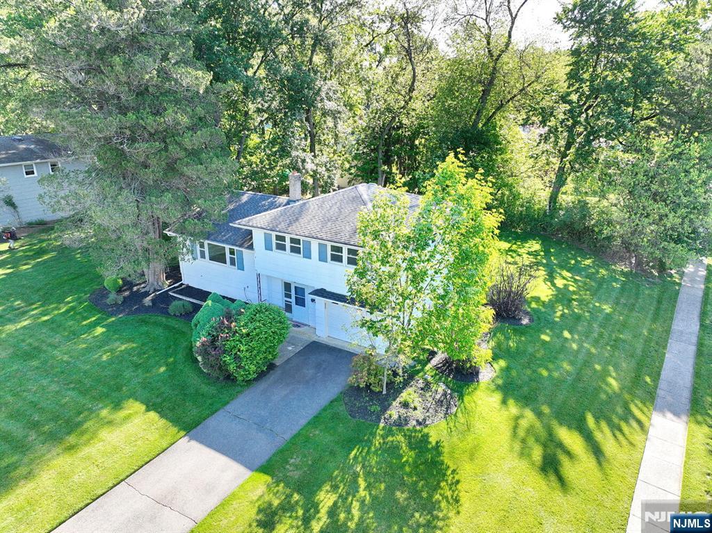 38 Dante Place