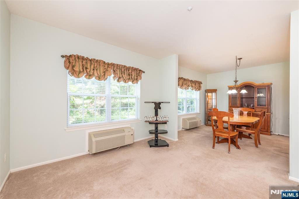 1101 Richmond Road 101
