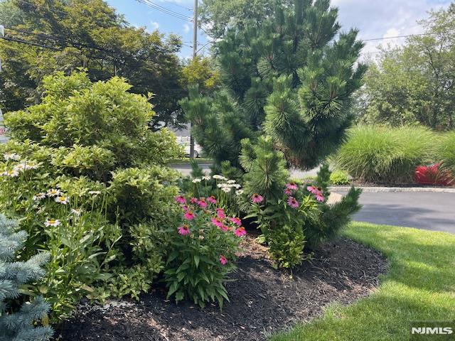 65 W Saddle River Road