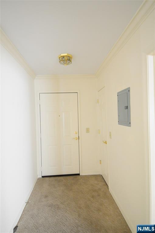 401 Dercole Court 319