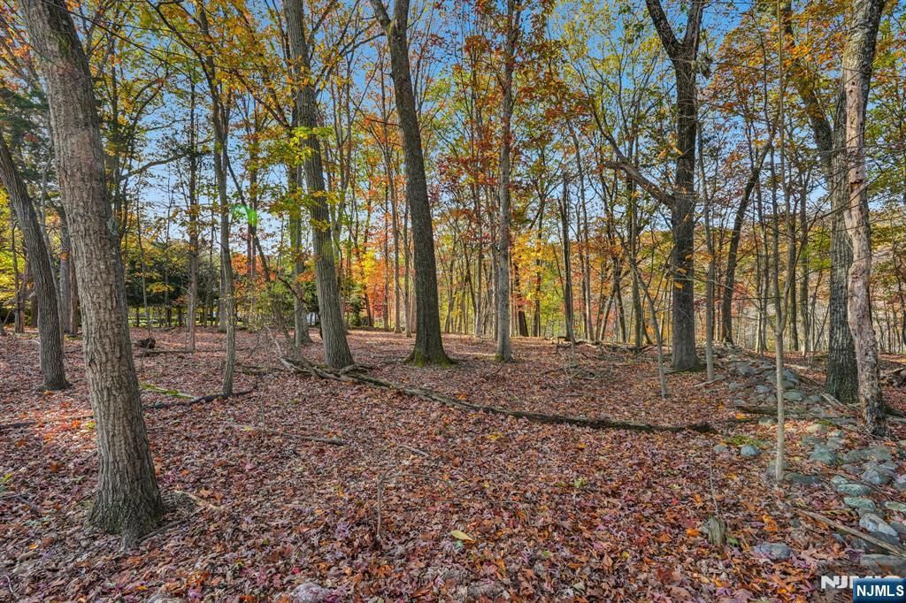 Photo of 212 Seminole Lane, Franklin Lakes, NJ 07417 (MLS # 25021954)