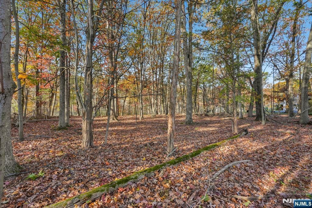 Photo of 212 Seminole Lane, Franklin Lakes, NJ 07417 (MLS # 25021954)