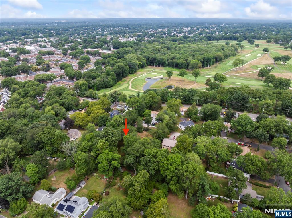 250 Ivy Lane