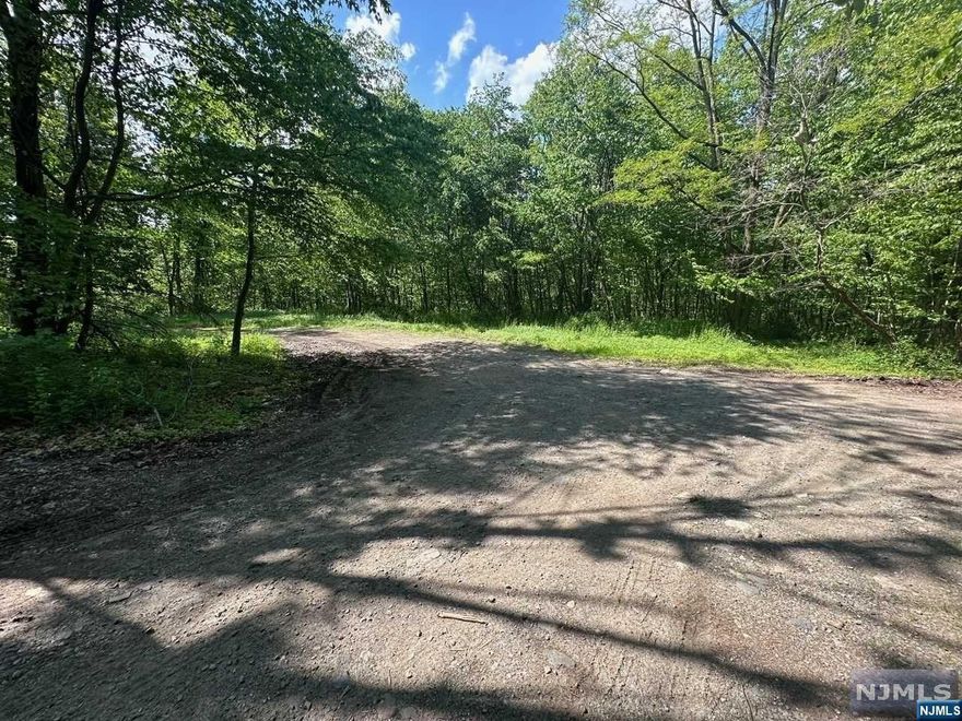 Come build your forever home nestled in the Upper Greenwood Lake community in the Hewitt area of West Milford on a .750 acre of land. Located on a quiet tree lined street, the lot is bordered by State land, on the end of the street, so you can enjoy the peaceful environment and privacy. Surrounded by Single-Family residential homes and a serene creek at the bottom of the hill in the back of the property. Minutes away from Upper Greenwood Lake and Greenwood Lake, a short distance to the Appalachian Trail and a Beach Area. Wawayanda State Park/Recreational area and all of the beauty that the country outdoors has to offer. Upper Greenwood Lake community offers a members only beach and clubhouse with motor boating, kayaking, fishing, jet skiing and swimming. Close to schools, shopping centers, parks, ski resorts, wineries, and major highways. Frontage: 163.37', Back: 162.10', Side: 200'. Lot lines are approximate in photos. Please do not walk the property without an appointment.