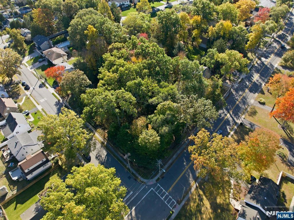 103 Crescent Avenue