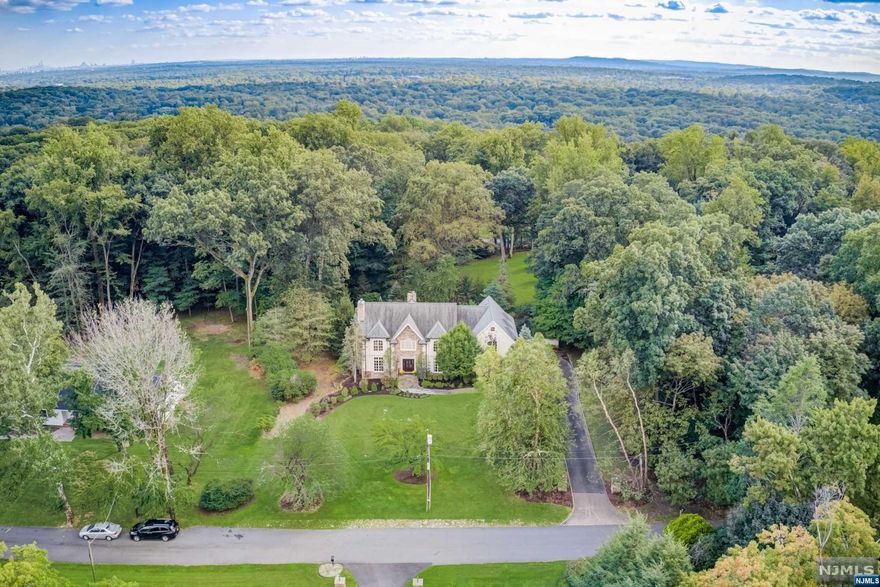 Incredible opportunity on one of Saddle Rivers' most sought after streets. Built in 2004, enjoy Quality craftsmanship throughout this 4000+ sq foot home set on a beautiful & idyllic one acre lot. Terrific floor plan & layout, including dramatic 2 story Great Rm w cathedral ceilings, beautiful stone fpl, oversized windows & access to rear patio. Gourmet Ulrich kitchen w bfast area, pantry, outside access & rear staircase to 2nd flr. Spacious formal dining rm w beautiful moldings & details as well as Living Rm w gas fpl. First flr Bedrm/office w adjacent full bth. Upstairs 4 additional bedrms & 3 full baths, including a very spacious primary suite w huge walk in closet & sitting area. Walk up 3rd flr attic storage. Lower level walk-out basement featuring Family Rm w gas fpl, Fitness Rm, Office, Full Bth, Wine Cellar. Storage & Sliding Glass Doors providing access to rear yard w pretty patios & landscaping. Generator, 2 new AC units & 3 car garage. A location that can not be beat!