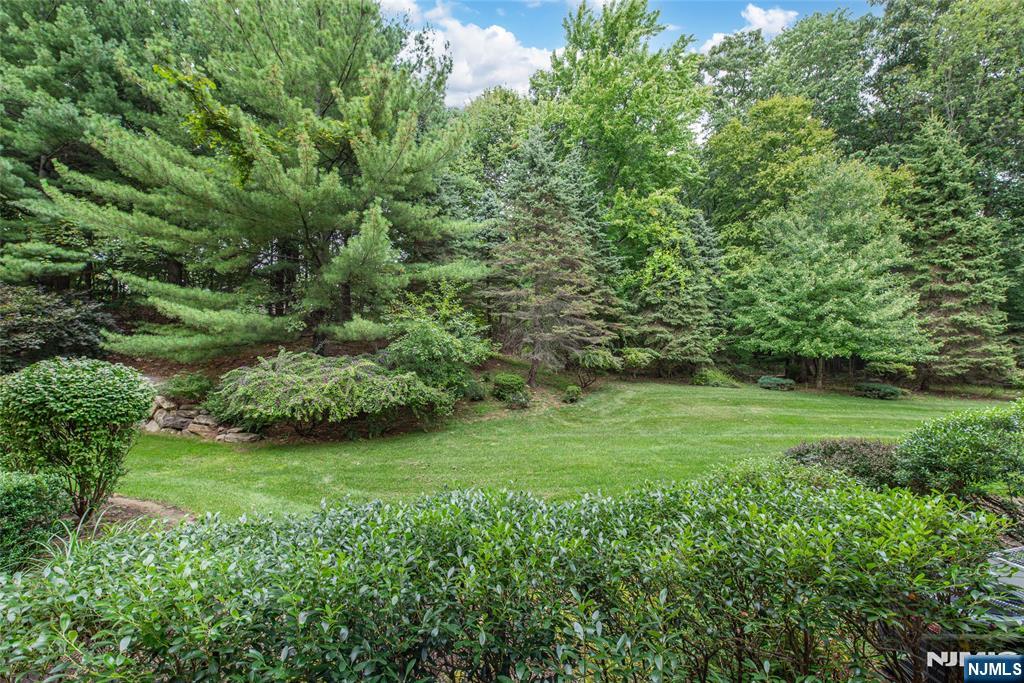 1115 Hamilton Drive