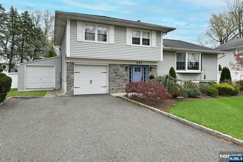 294 McHenry Drive Paramus NJ 07652