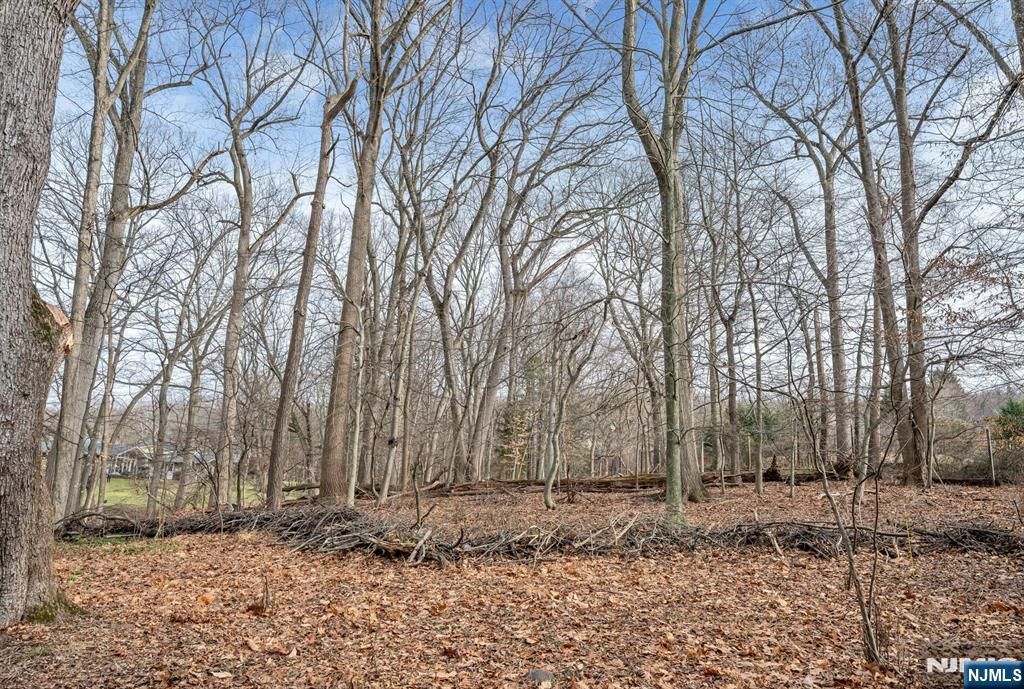 Photo of 155 Hickory Lane, Closter, NJ 07624 (MLS # 26000288)