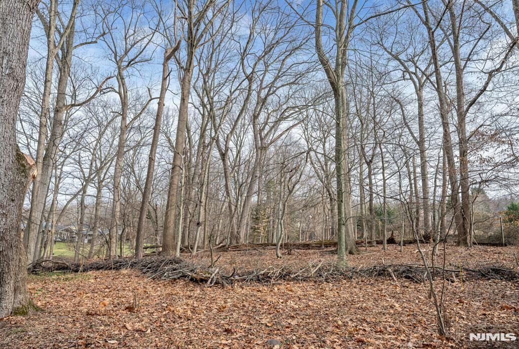 Photo of 155 Hickory Lane, Closter, NJ 07624 (MLS # 26000288)