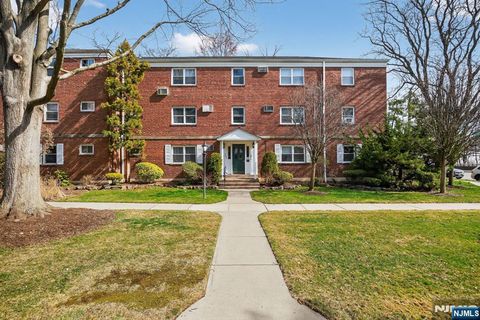 243 Johnson Avenue L4 Hackensack NJ 07601