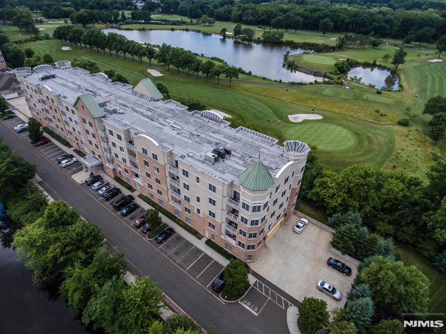 Beautiful luxury condo in desirable location with Bright East south view through large windows. Wood floor throughout. Kitchen with cherry wood cabinet, granite counter top with an adjoining dining area & stainless steel appliances. The Living room is enhanced by a 9 foot ceiling, and sliding glass doors to an outdoor terrace. walk-in closet in Master Bedroom. Master bath with double sink, separate glass shower, granite & marvel floor. Both rooms are facing east south. This condo is privacy, calm, silence. Full size Washer/Dryer in the unit. One indoor garage parking spot included & plenty of visitor parking spots. Club House with a fireplace, kitchen/party area, gym and relaxing room. Direct access from Rt. 4 and 5 min. driving distance to G.W.B. Close to I-80 & I-95. Also close to bus stop to NYC. ONLY FOR THE INVESTMENT BUYER