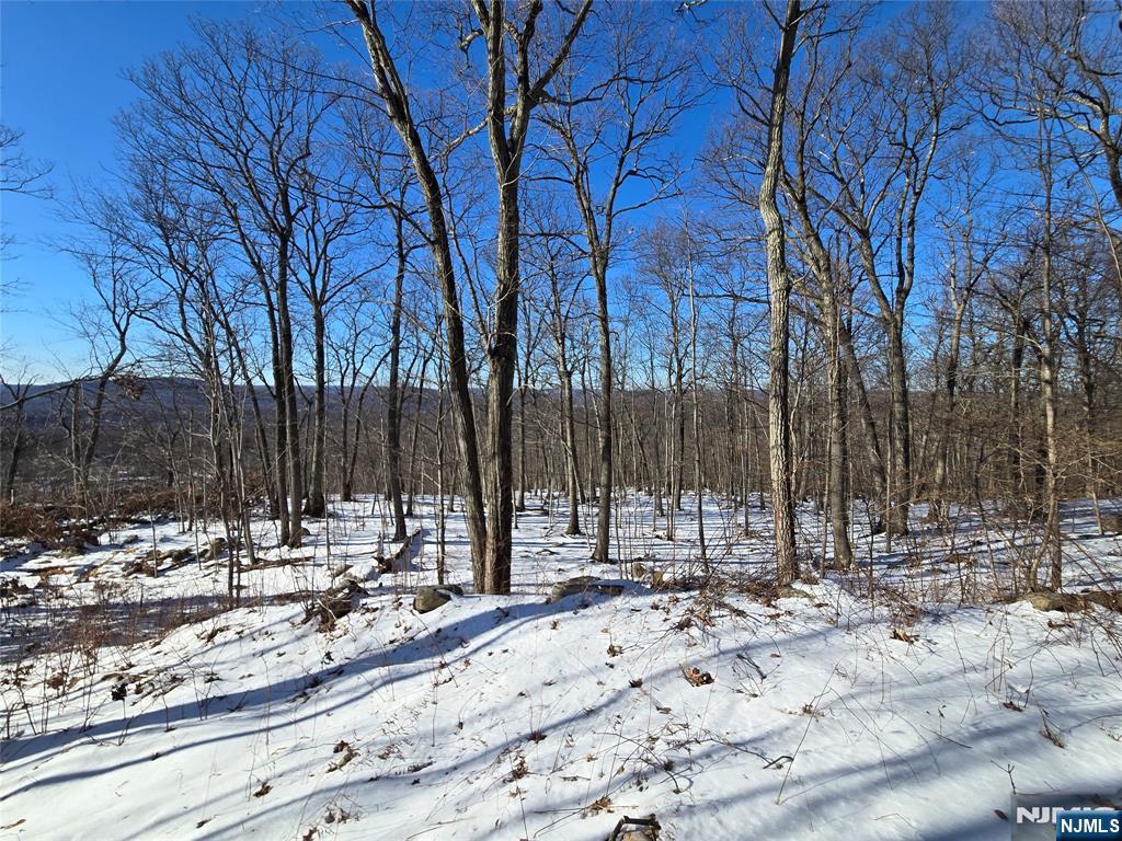 Ringwood, New Jersey 07456, United States, ,Land,Active,660