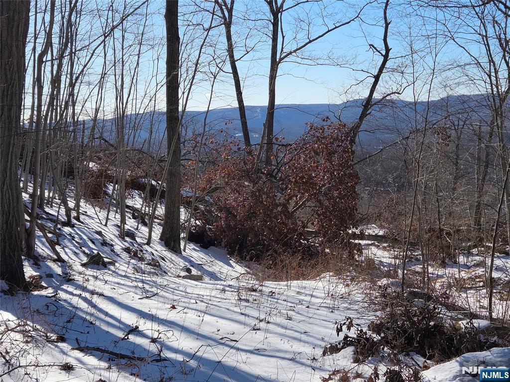 Ringwood, New Jersey 07456, United States, ,Land,Active,660