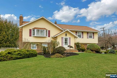 81 Queen Court Hillsdale NJ 07642