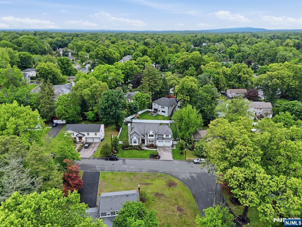 95 Mezzine Drive