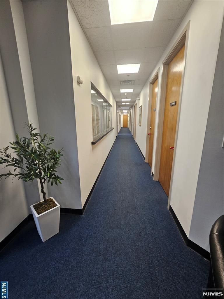 151 W Passaic Street 20