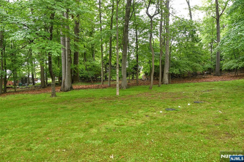 67 Locust Lane