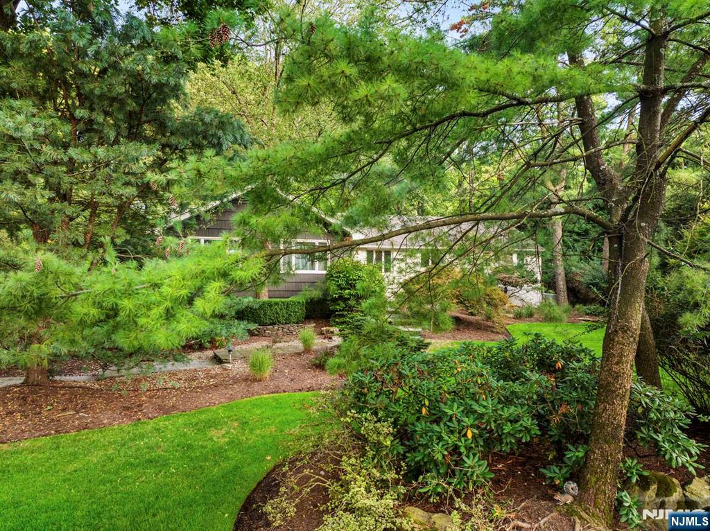 99 Oxford Drive