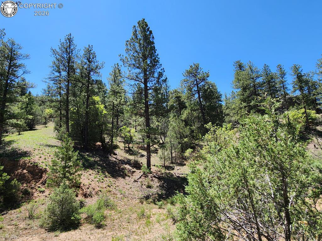 Photo 1 of 40 — 102 Kevin Drive, Cotopaxi, CO 81223