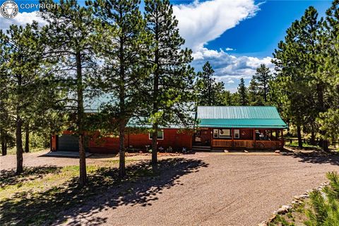 50 Shawnee Trail Westcliffe CO 81252