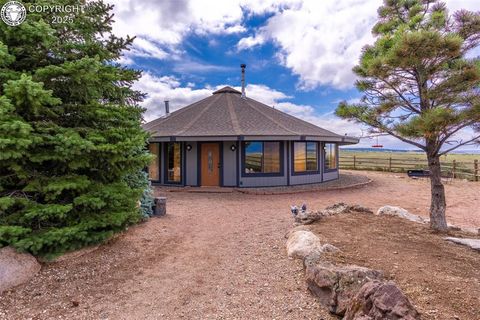 1115 County Road 319 Westcliffe CO 81252