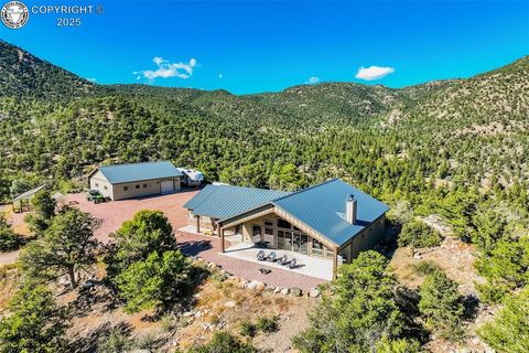 159 Mineshaft Place Cotopaxi CO 81223