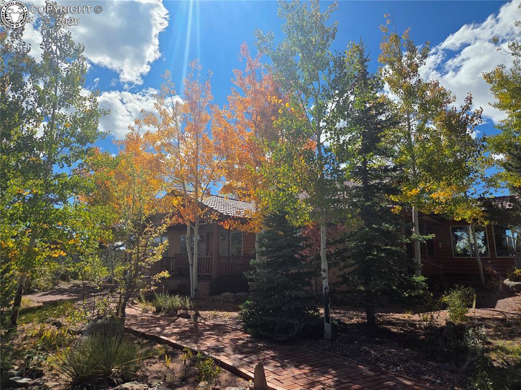 580 N Pine Vista Drive