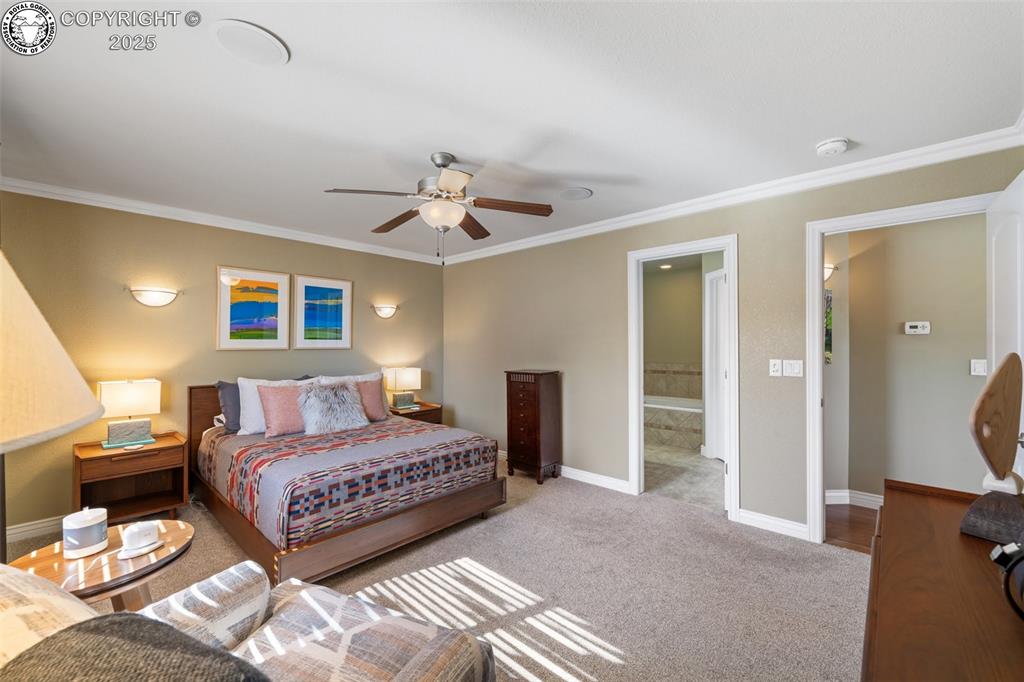 Canon City, Colorado 81212, United States, 3 Bedrooms Bedrooms, ,2 BathroomsBathrooms,Residential,Active,3561