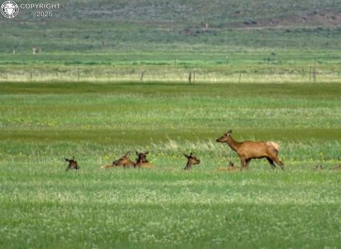 TBD County Road 119 Westcliffe CO 81252