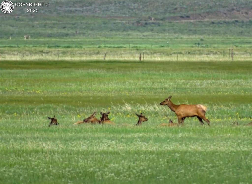 Lot 2 County Road 119