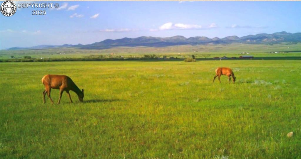 Lot 2 County Road 119