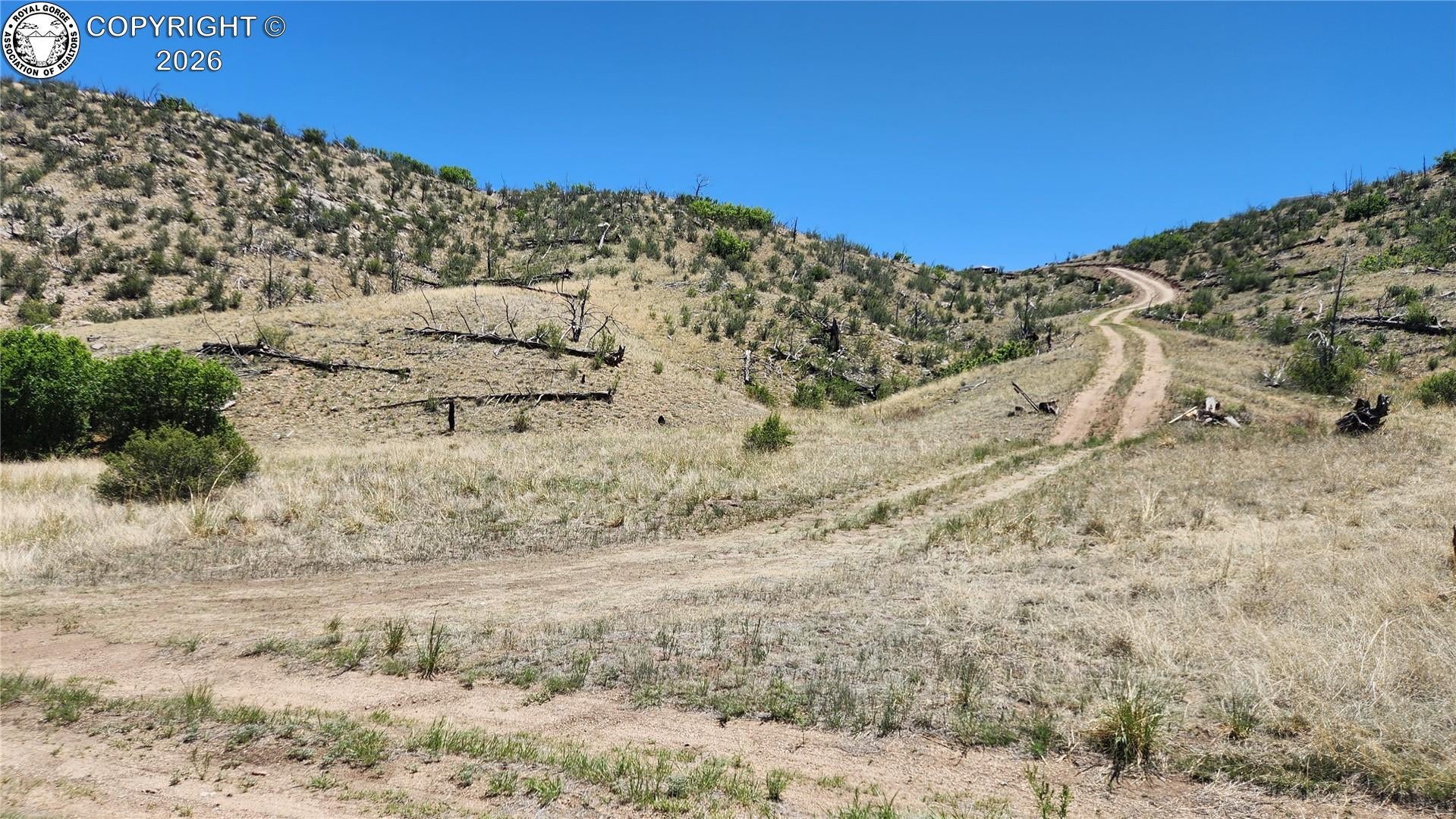 TBD L 35th Trail - Photo 4