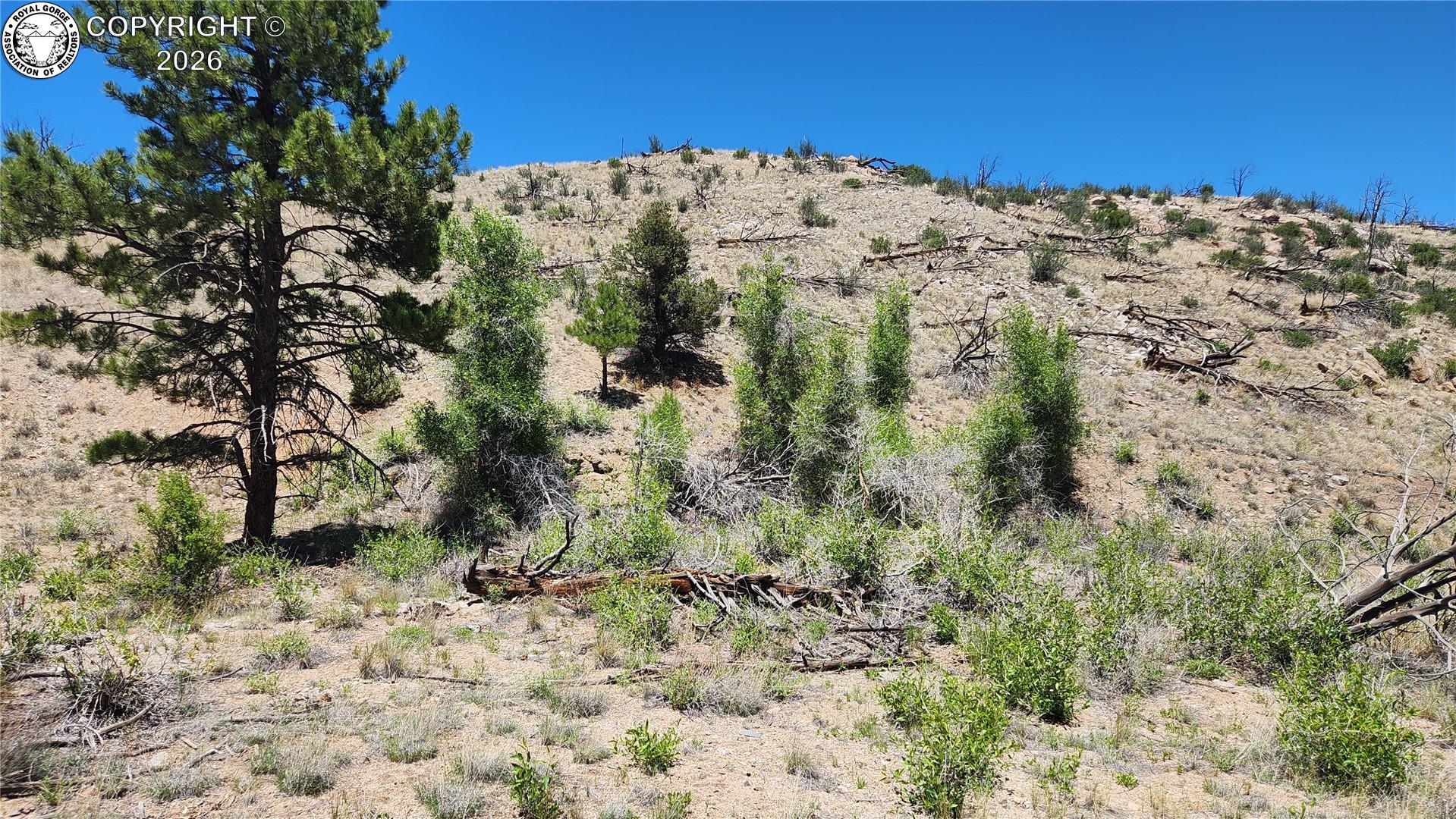 TBD L 35th Trail - Photo 2