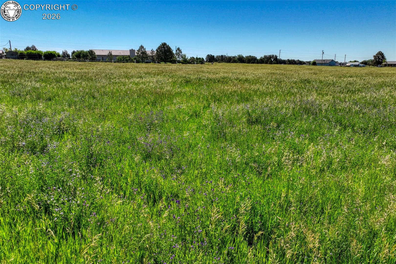 1115 M St, Penrose, CO, 81240, USA, 3 Bedrooms Bedrooms, ,3 BathroomsBathrooms,Residential,Active,1115 M St,9660678