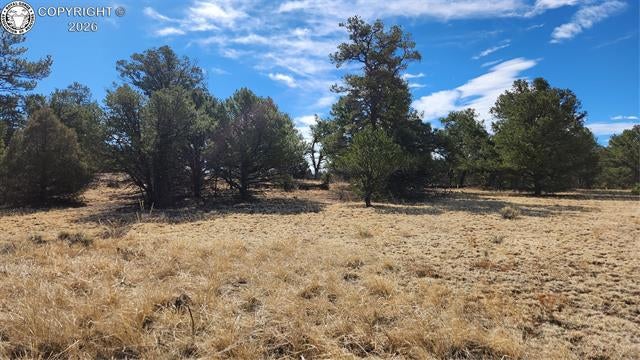 Photo 1 of 29 — TBD L I Path, Cotopaxi, CO 81223