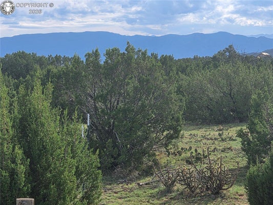 1284 RED ROCK CIR, PENROSE, CO 81240 - Image 6fade895e633f0e1273ed6c08e047de5/654635886