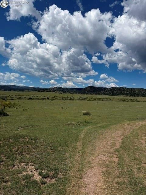 2401 County Road 11 - Photo 3