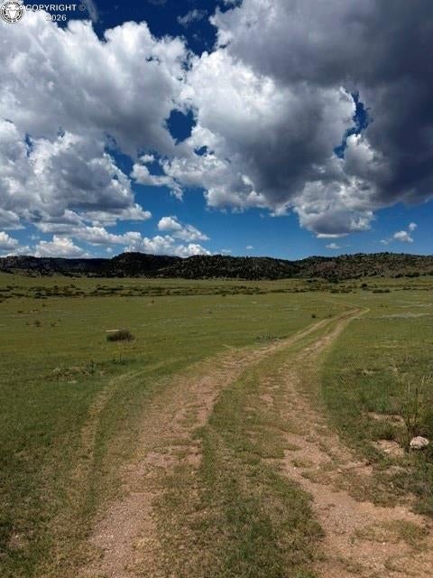2401 County Road 11 - Photo 2