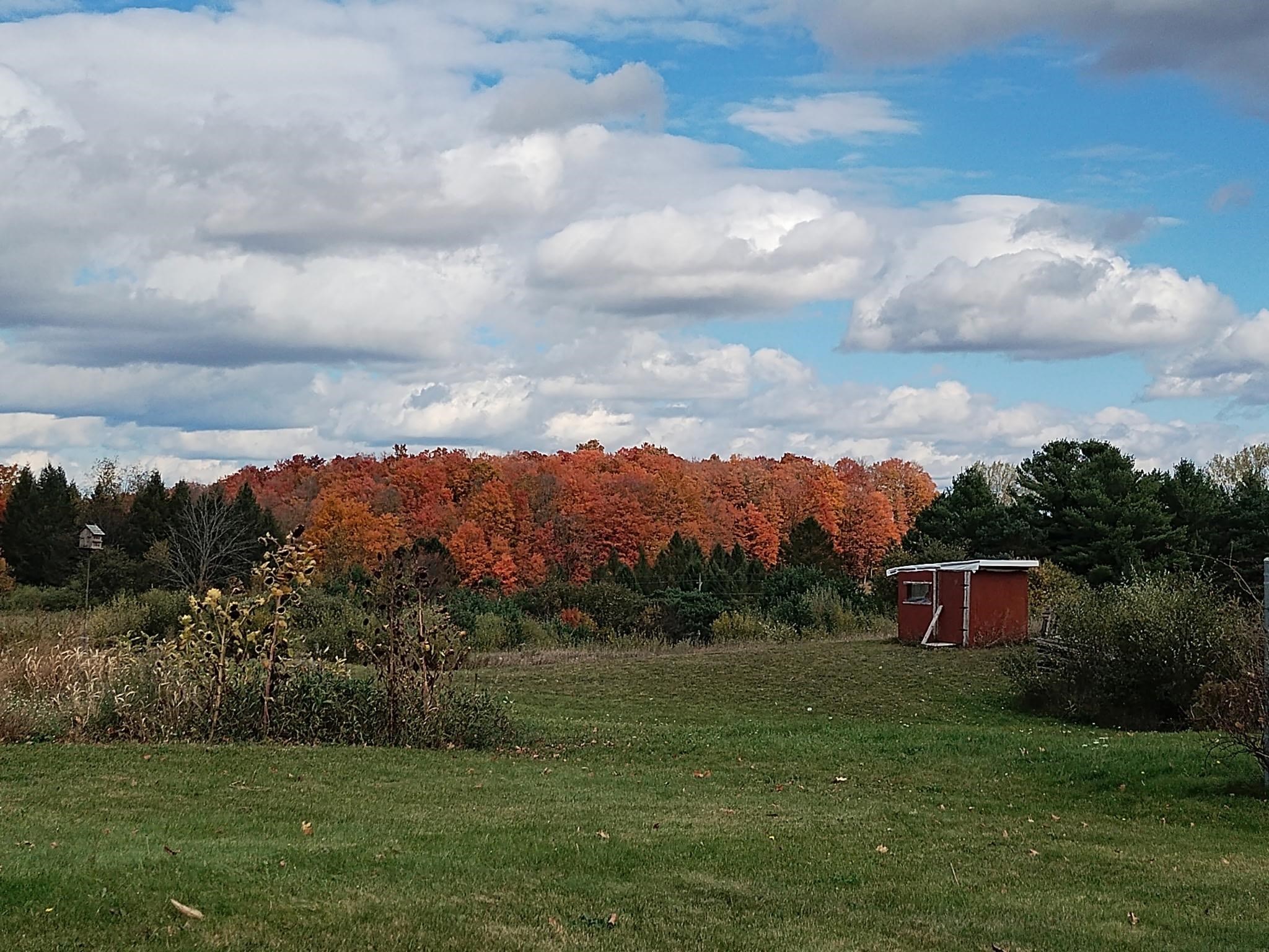 3700 Red School Road