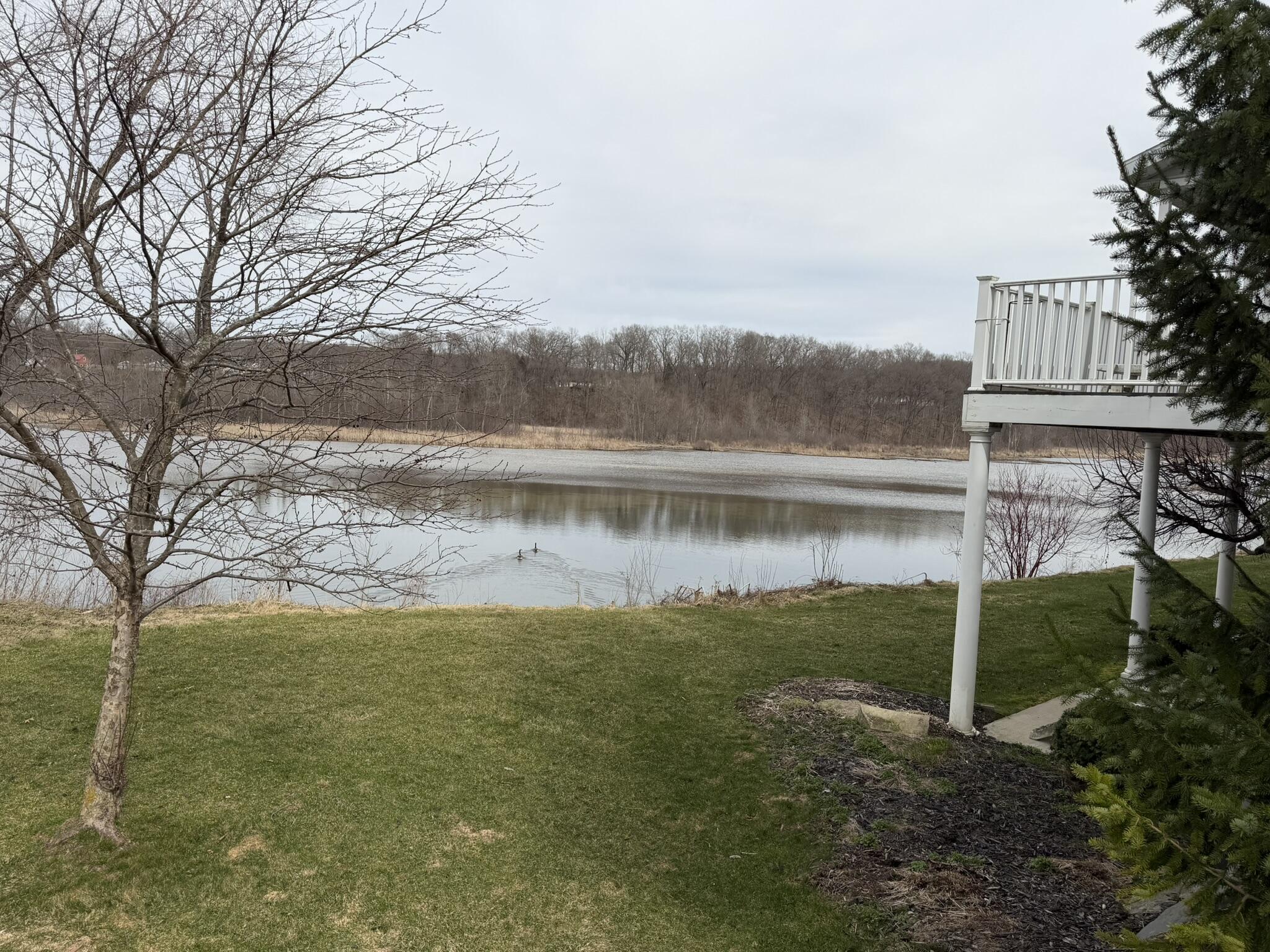 189 Mill Pond Drive 7