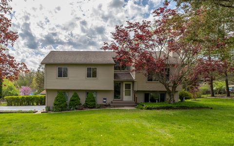 11926 Neil Street Putnam Township Livingston MI 48169