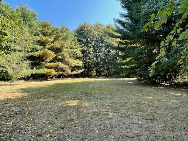 10572 Plank Road