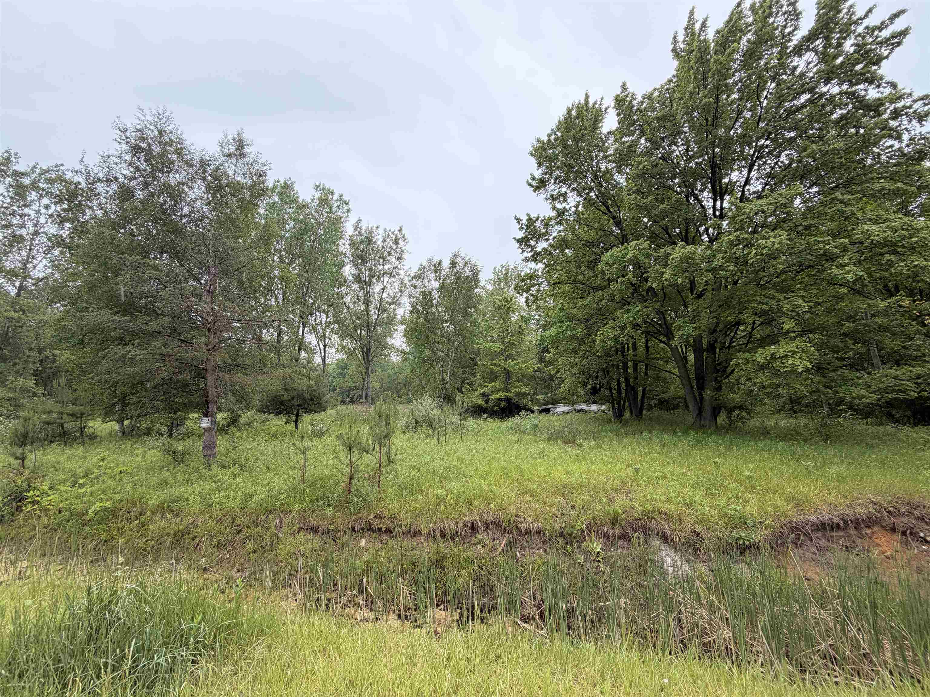 4280 W Shepherd Road
