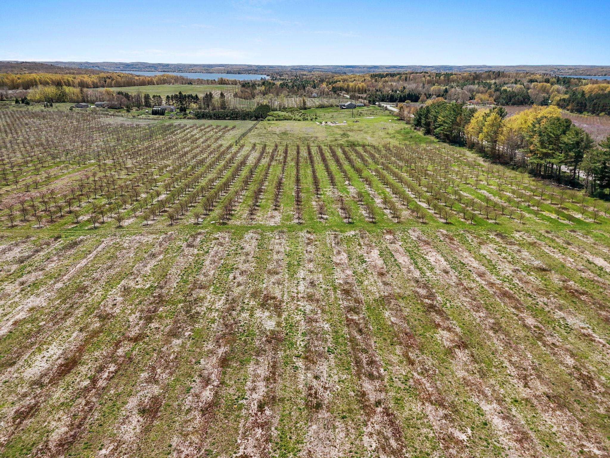 12139 Chippewa Trail