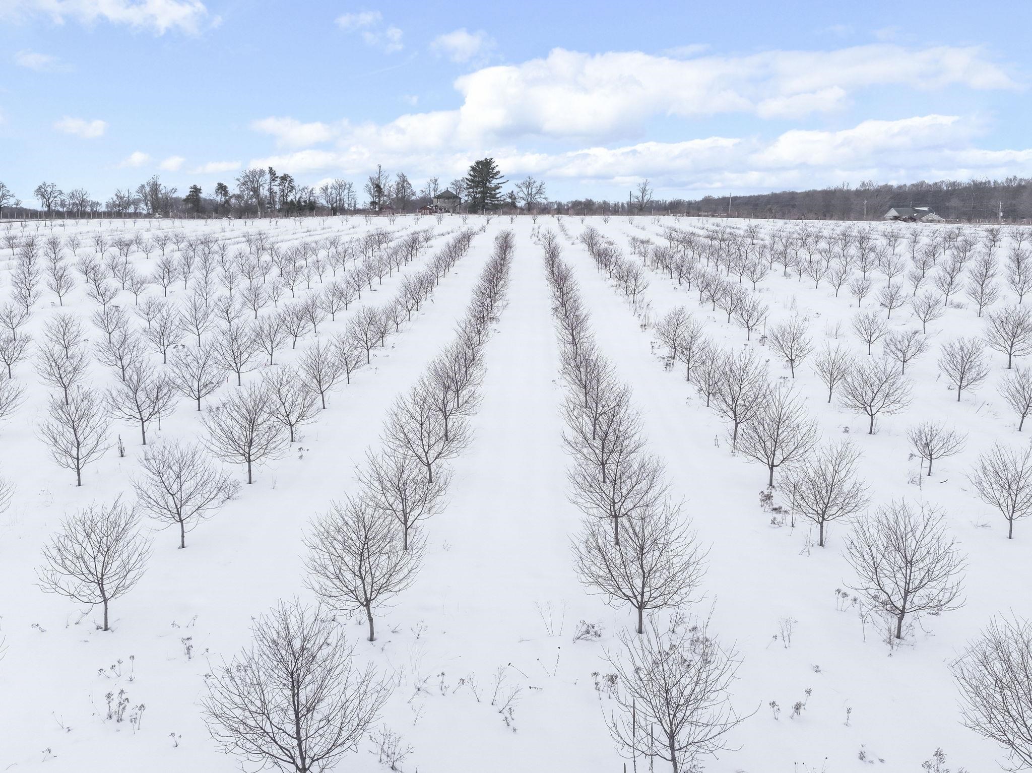 12139 Chippewa Trail