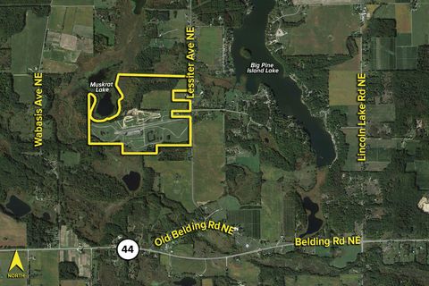 7201 Lessiter Road NE Grattan Township MI 48809