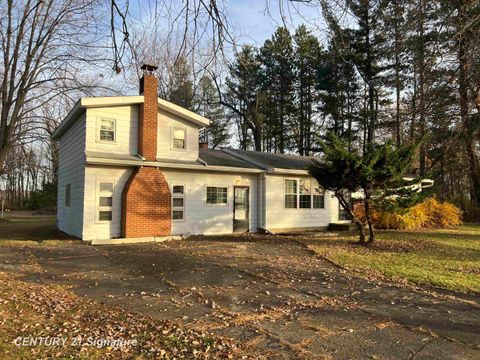 11382 N Belsay Road Thetford Township MI 48420